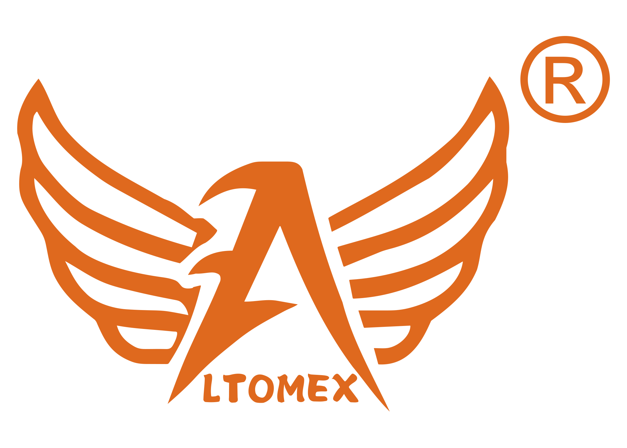LTOMEX